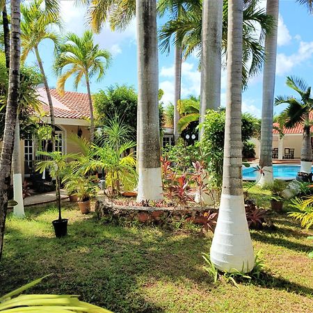 Tulipanes Cancun Bagian luar foto